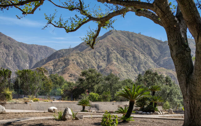 2236 Suree Ellen Lane